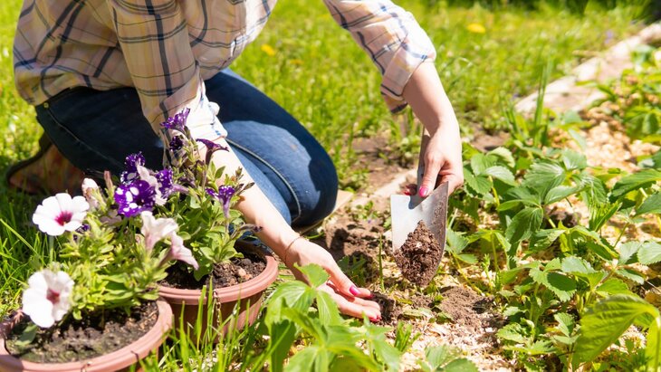 � ������ ���������� ���������� ��������� �� ���������� �������� � ������� 3 ���