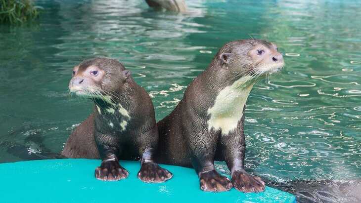 �� mos.ru ������ ����� ��������� �� ����������� ������� �� ����������� ��������