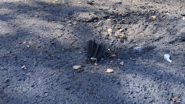 ������������� ��� ���������, ��� ����� �������� ���� �������� ���� �� ���������