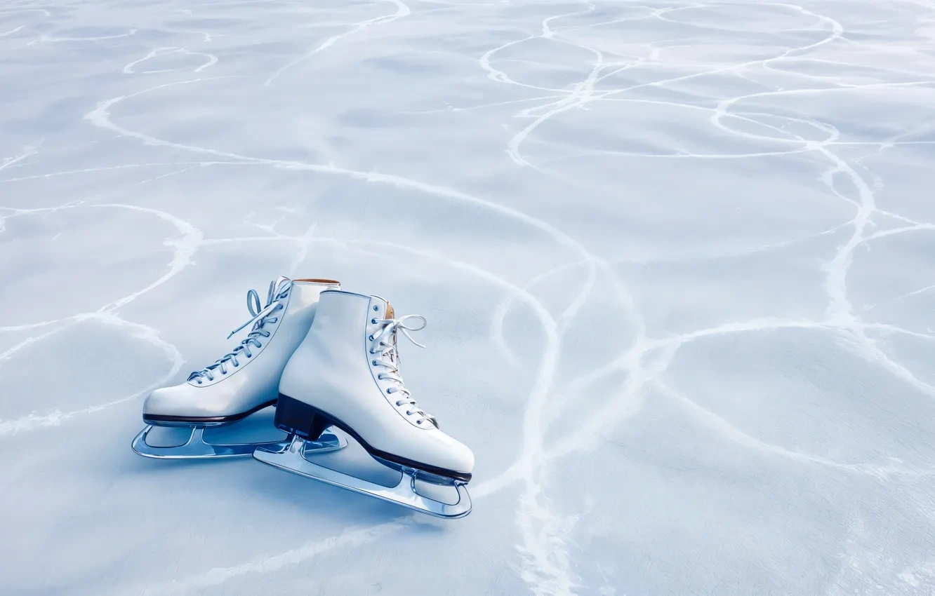 ����� ������� ���� � ������ ����� �������� � �������� ���������