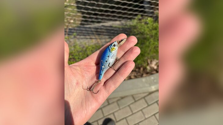 � ������ � �������� � ���������� �������� ���������� ������