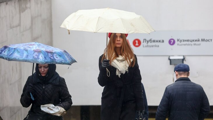 � ������ ����� ������� 20% ����� ������� � ���� �� 15 �����