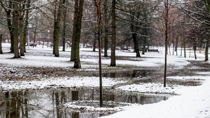 ������ ������ � ������ �������������� ����� ��������� ������ �����