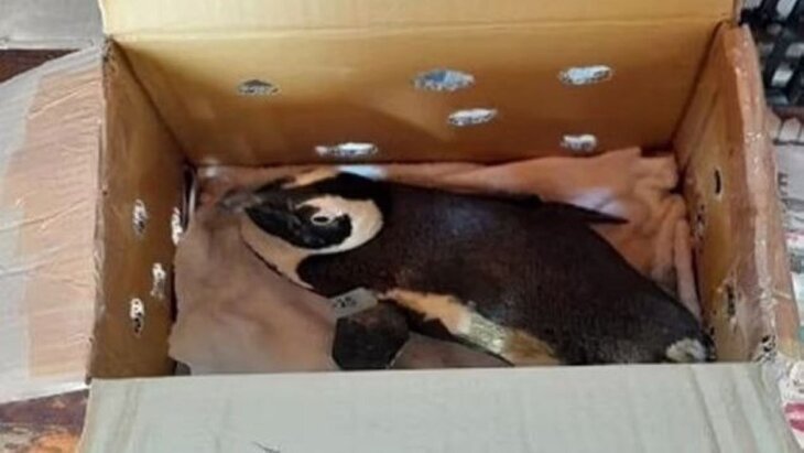 ������� � ������� ���� �������� �������� ��������� � ���