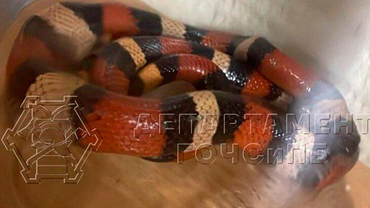 ��������� ��������� ������� ���� � ����� ������ ���� � ����������