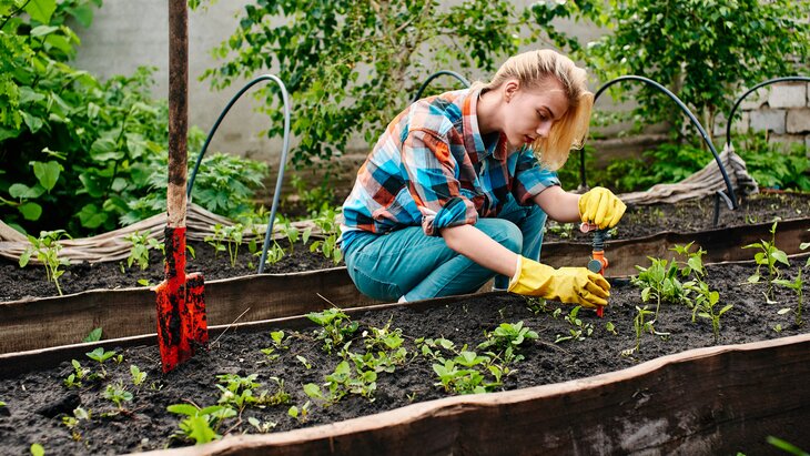 ��������� ����������, ��� ����������� ����� ������� �� ���� � ����