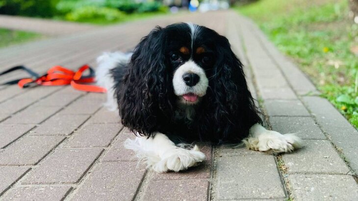 � ������ ������ ���� ���� ���������� �� �������� ���������� ������