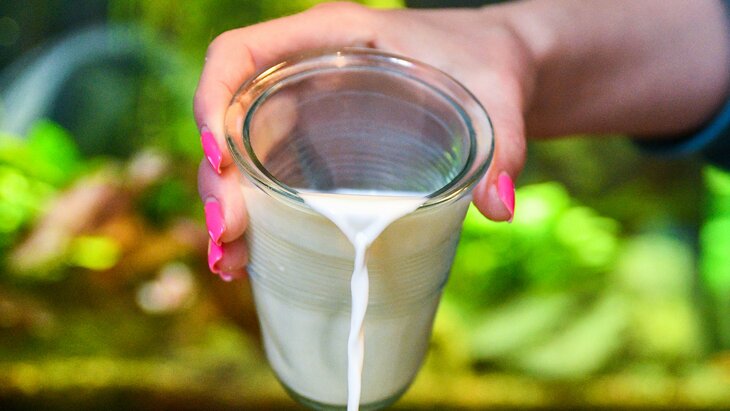 � ������������ ������� ����� 33 ����� ��������� �������� ���������