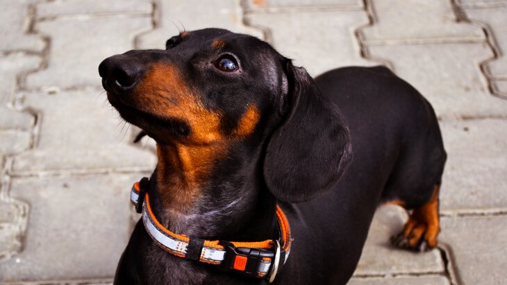 �������� ����������, ��� ���������� ������� ����� ��������� ������