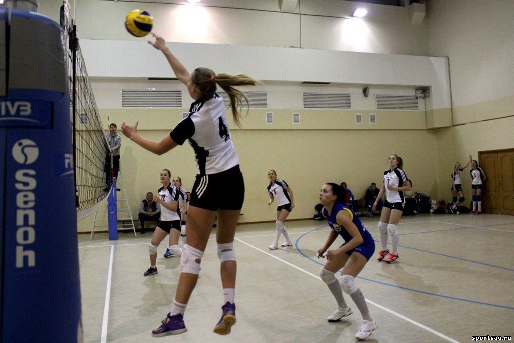 ������� ������� ������������� �� ������������ ������ ������������ �� �������� ������������ 