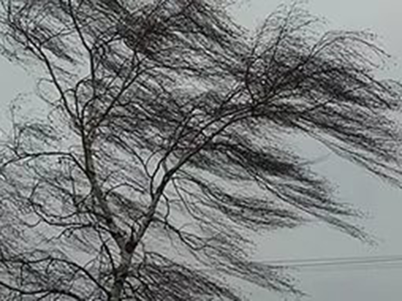 ��� ��������� ������������ ���������: ����� ����� ������� �����!