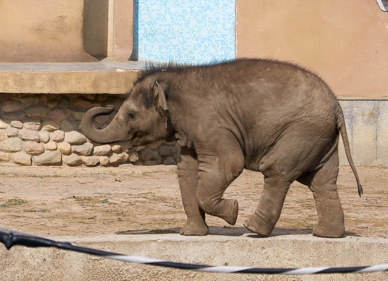 �����, ����������������� ��������� �������� � ���������� �������� 