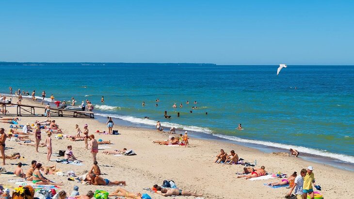 ��� ������� �������������� ���� ��������� � ����� � ������� ���������