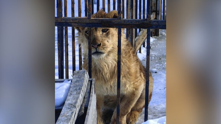 ��������������� ���������� ����, ������� ����� �� ��������� � ��������