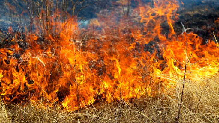 ������� ��������������� ���������� � ������ 4 � 5 ����