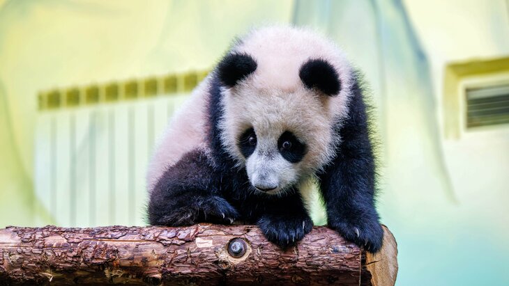 ������ ������ ������� ��������� ����� ������