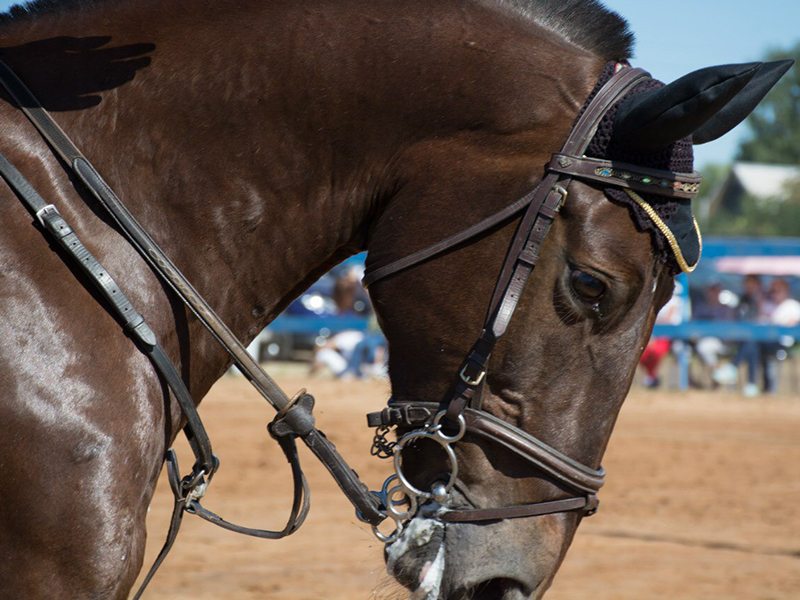 �������� � "�������� ����������" ����������� �� ��������� ���������� ��������� � ��������� ����������� ���������