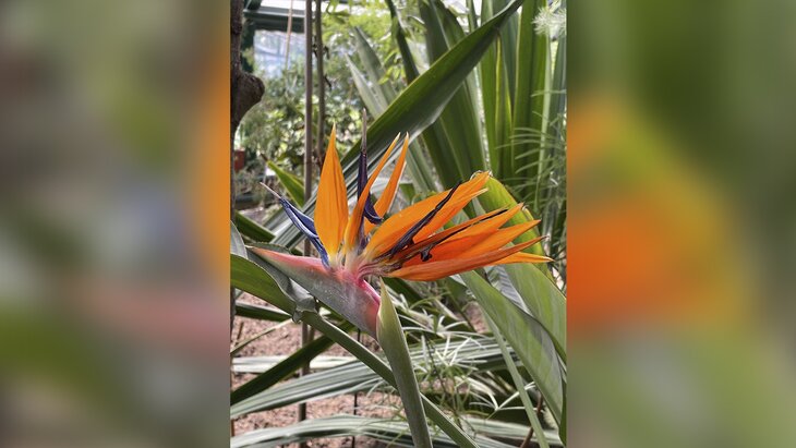 "������� �����" ������� ������� � "����������� �������"