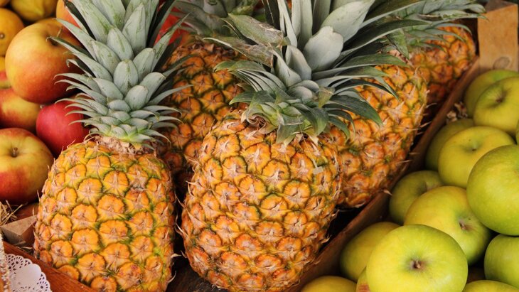 �������� ����������� �������� � ������������� �������������