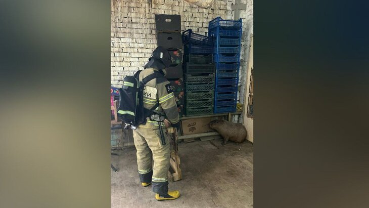 �������� ������� �� ������������� ������� � ���������� ��������