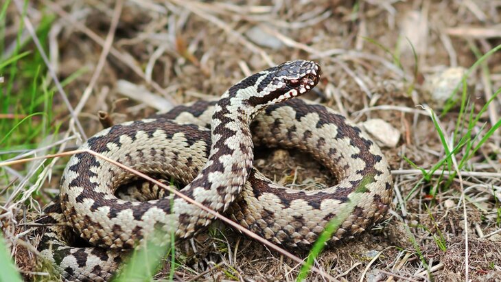 ������� ��������� �� ����������� ���� ������������ � ������