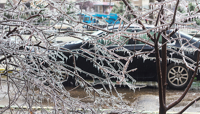 �������������: � ������ ������� ������ ���������� ������