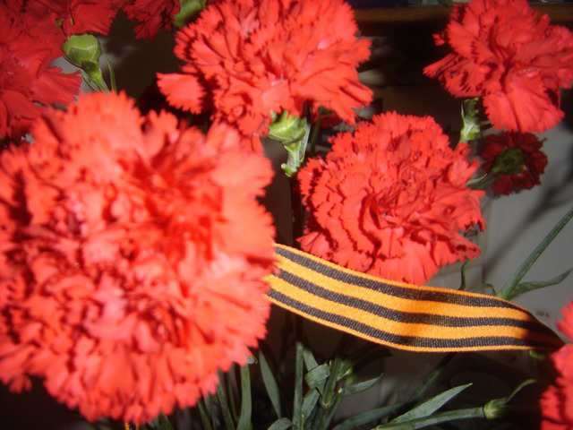 � ����������� ������ ������ 12 ������� 2015 ���� ���������� ������� ������� ������� ���� � ���������� 