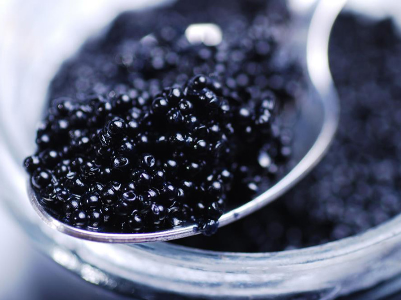 � ������ ����������� ������ ������������� ������ ����