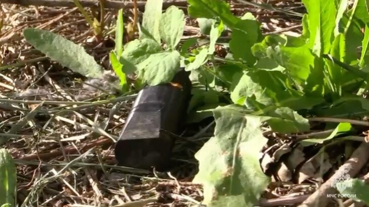 ��� �������� � ����� ���������� ����� "������" � "��������" � ������� �������