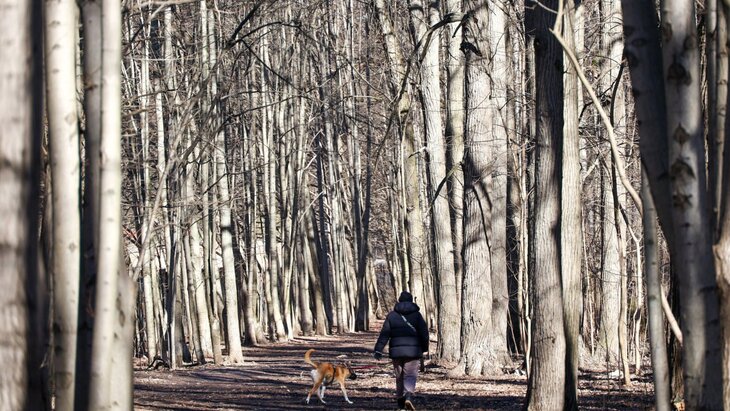 ������� ����������� � ������ ������ �������� ��������, ����� � ������������� �����