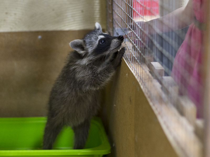 � �������� ������ �������� ���������� ������� �������� � ���������