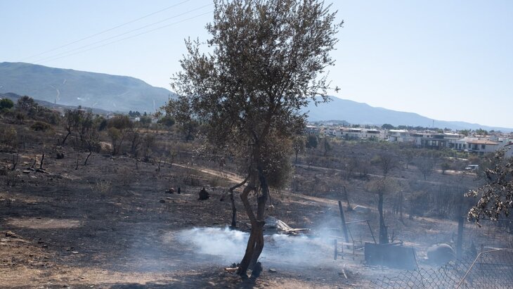 ���������� �� � ������ �� �������� ��������� ������� ��-�� ������ �������