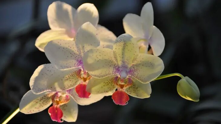 ��������� "����������� ����" �������� � "����������� �������" 27 �������