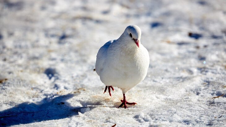 ��������� �������� ������ ������ ����� �� ��� �� �����