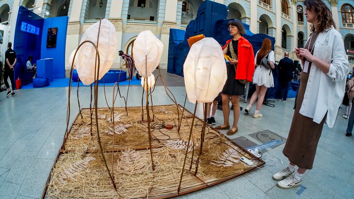 ������ ������ ������� ����� ��������-������ "��� ������"