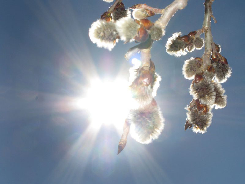 ���������� �����!