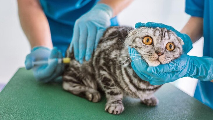 ���������������� �������� ��������� � �������� ������������ ������ � ��