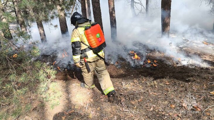 ����� ����������� ������, ��� �������� ��� ������ ������ ������� ��� �������