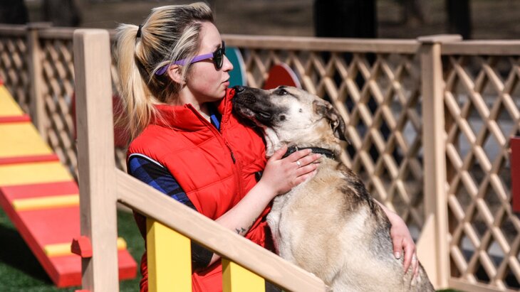 ������ ������ ������� ��������� �������� �������� �� ������� ��������