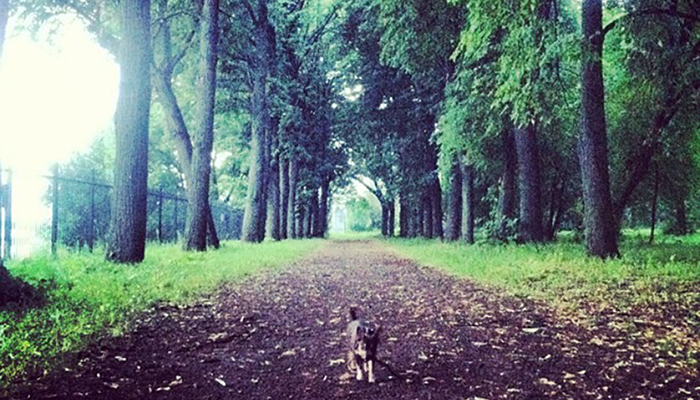 � 2016 ���� ����� ������� 49 ����� ������ � ����� ������� �������