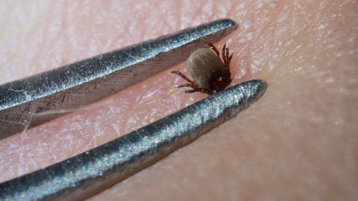 �������� ������ �������� �� ��������� ������ � ����