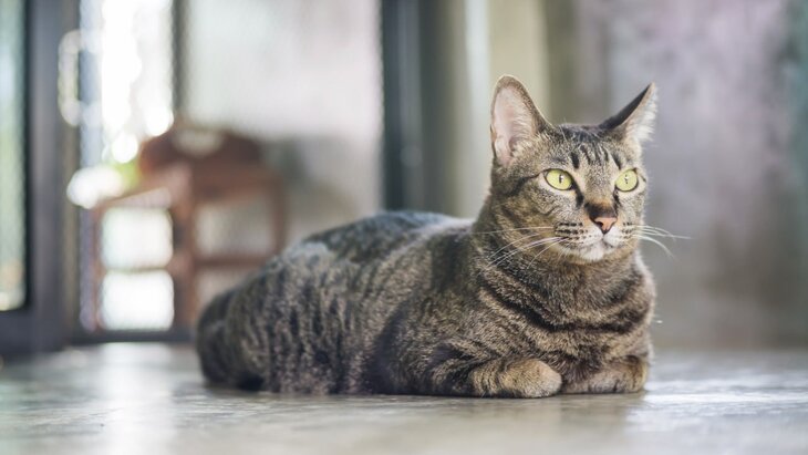 ������� ����������, ��� ����� ����� �������� ������� � ���������