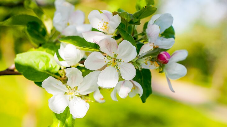 ���������� ������� ���������� � ��������� ����� ��-�� ����������