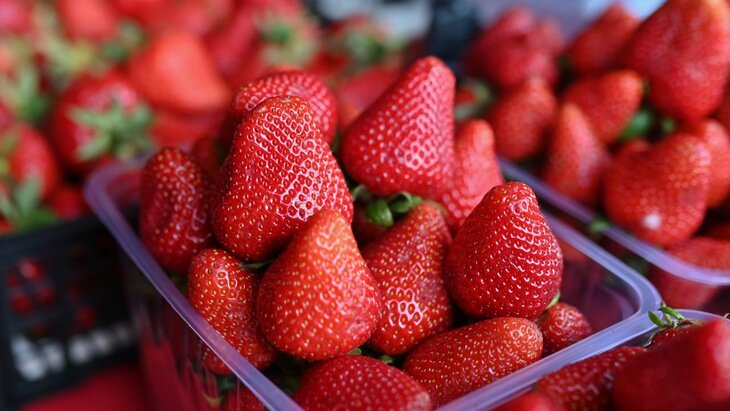 ������ ���������� �������� ��������� �� ������� ��������� ��� � ������