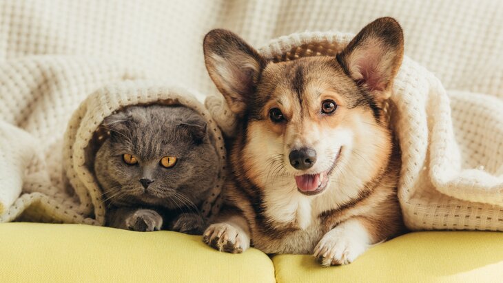 ��������� ���������, ��� �������� �������� ������ � ������� �� ��������������