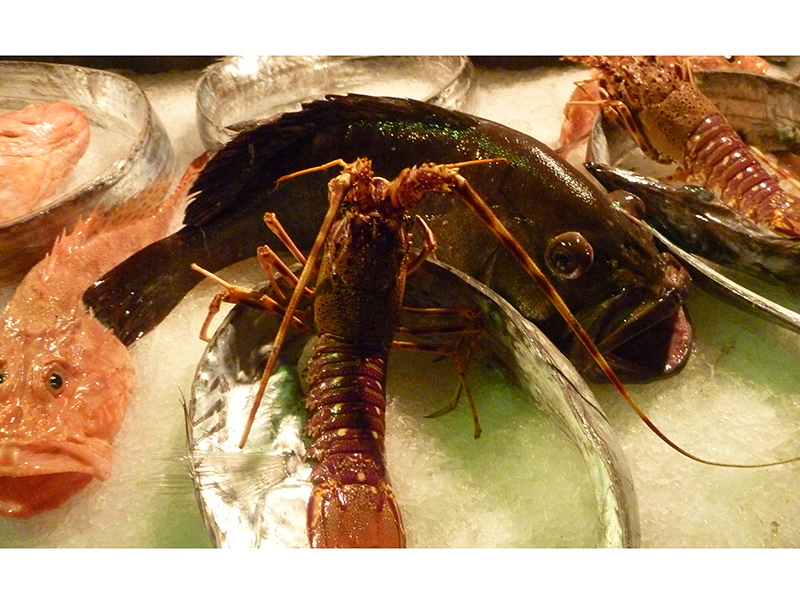 � ������ � 13 �� 22 ��� ������� ���������� ��������� "������ ������"