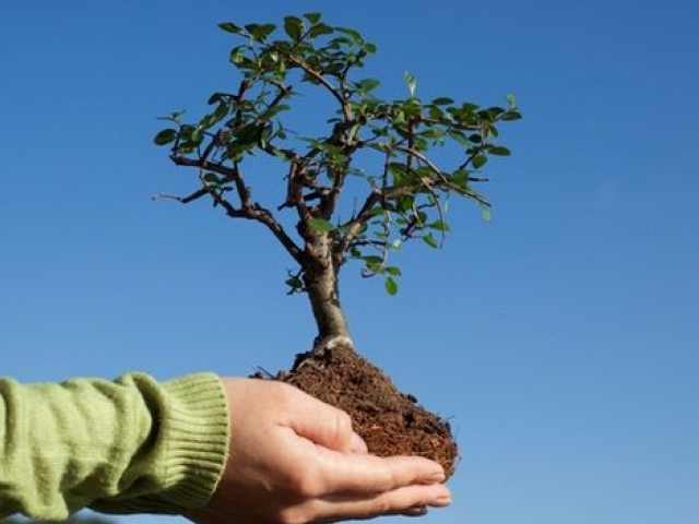 � ������ ���������� ���������� ���������� �� ��������� ���� �����