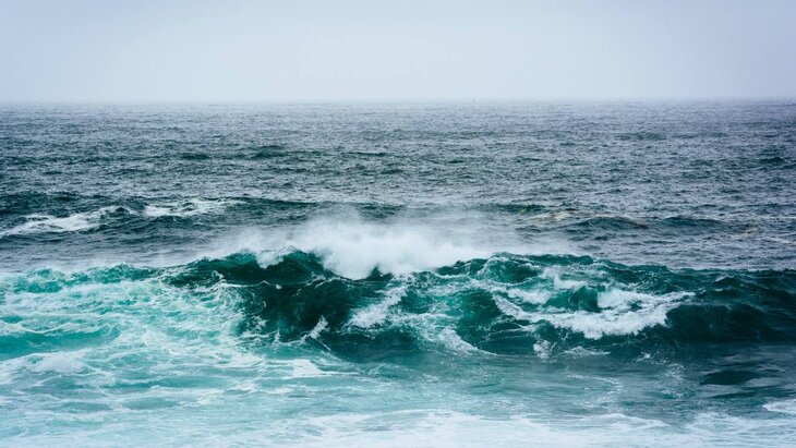 �������� ������ ��������� ������� ������ ���� � ����������� ������