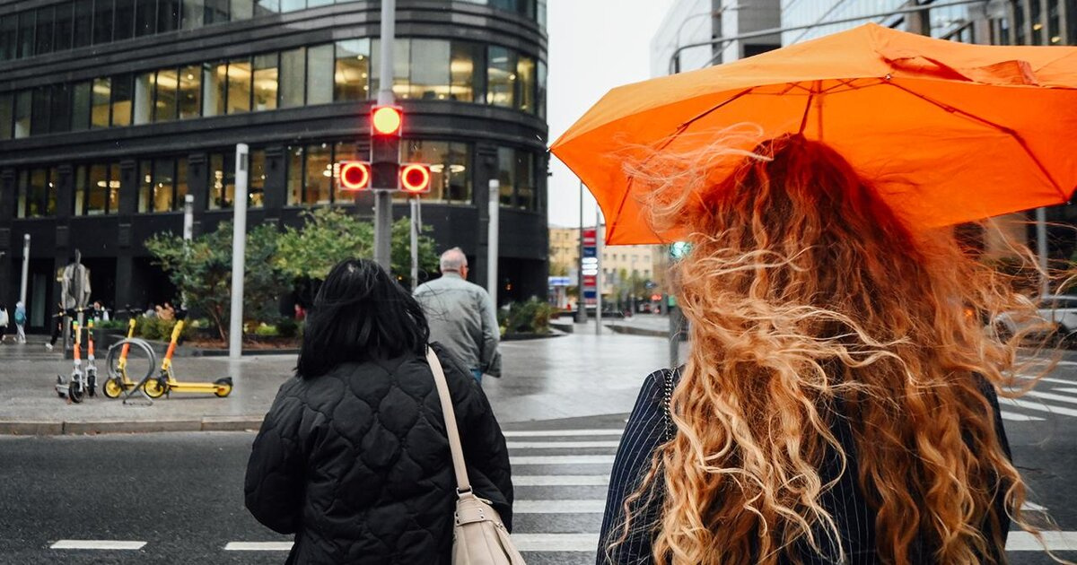 ����� 20% �������� ����� ������� ������� � ��������� ������� �� ������� � ��������