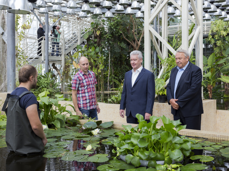 ������ ������� ������� ����� ������� ��������� � ���� ���������� �������� ���� 